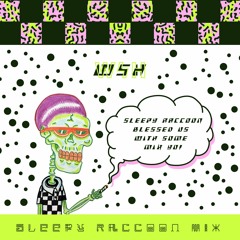 SLEEPY RACCOON - WSH ( THOROBRED ) MIX
