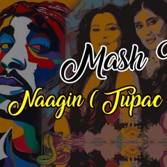 Naagin Gin Gin ( Tupac Version ) - Mash-Up