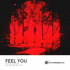 SIIK & Flexin - Feel You (Extended Mix) *SUPPORTED BY LUCAS & STEVE*