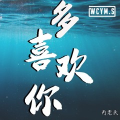 肖老头 - 多喜欢你 (Cover: 小贱)【動態歌詞/Lyrics Video】