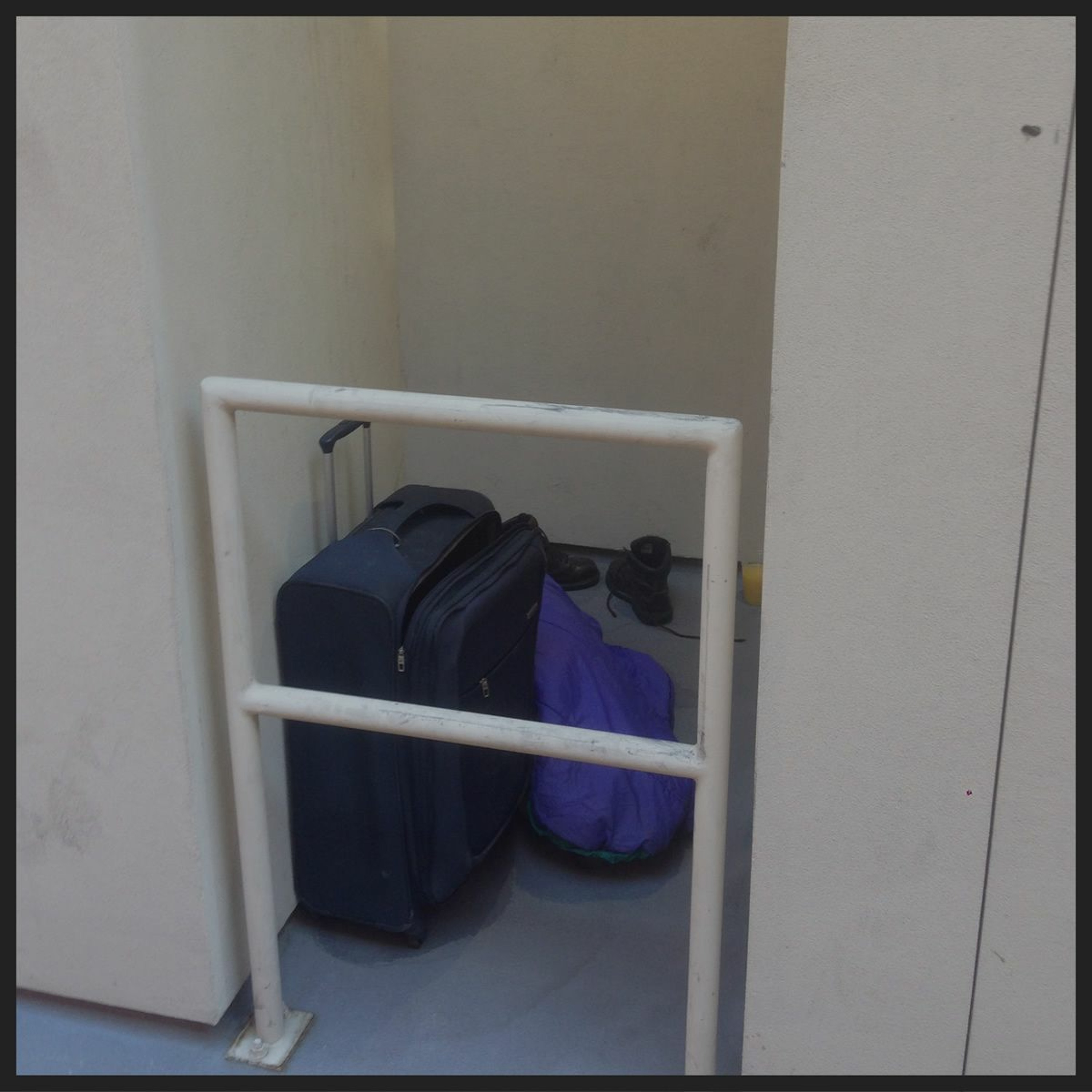 Episode 6: Loneliness and Companionship