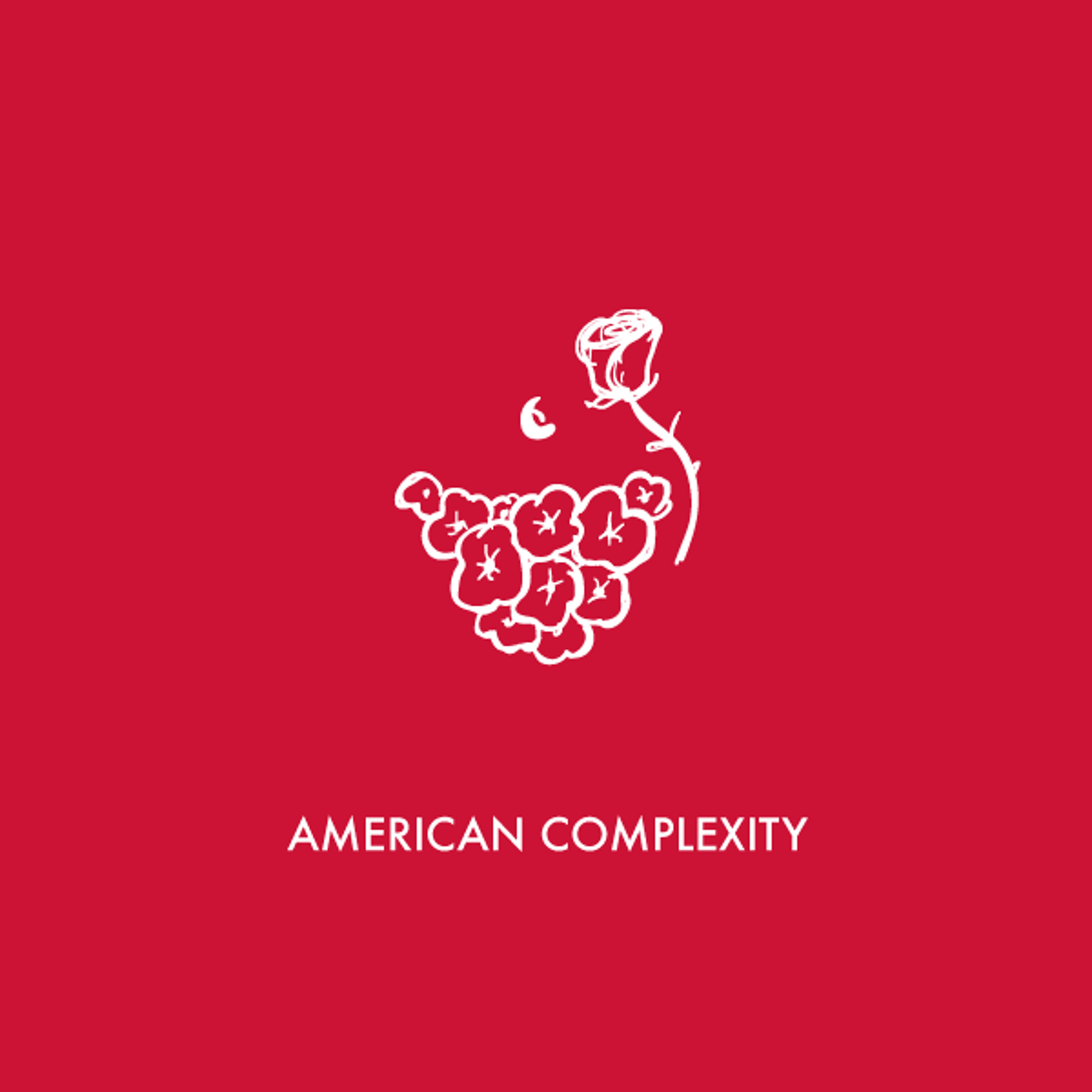 C_AComplexity_T4 episode artwork