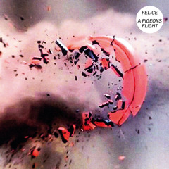 Shite Premiere | Felice - A pigeons flight (Johannes Albert Remix)