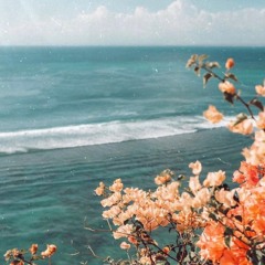 So Gone By: Best Coast