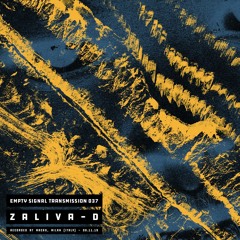 E.S.T. 037 • Zaliva-D