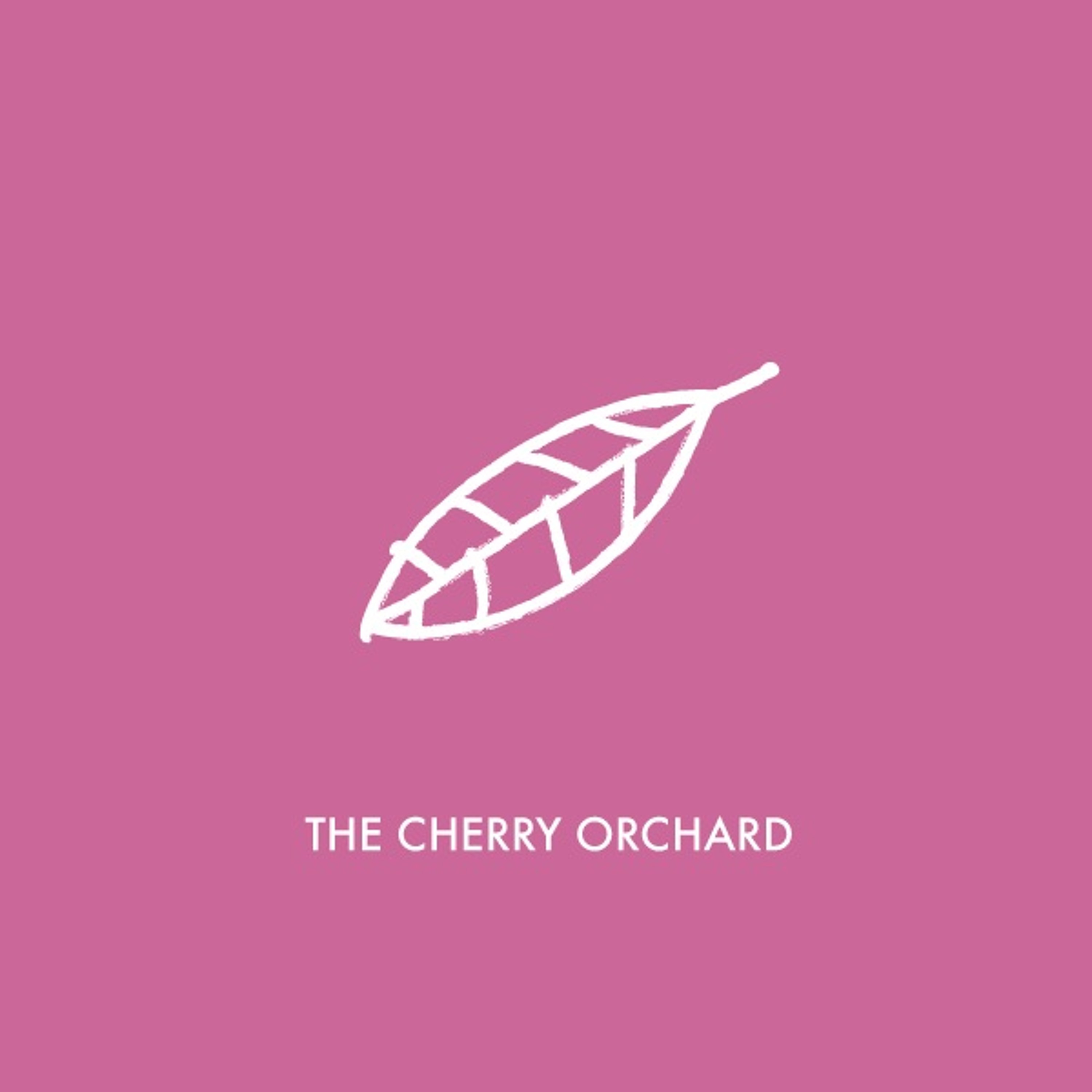 S Orchard T1v1 episode artwork