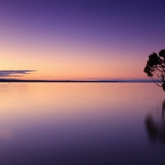 Last Call Freestyle- extended