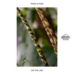 PEZNT & Piem - On The Line