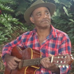 OS REIS DO PAGODE-    " TIÃO CARREIRO E PARDINHO "
