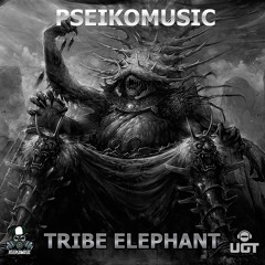 Pseikomusic - Tribe Elephant
