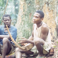 Balonyona playing geedal (Yandoumbé, Central African Republic, 1992) [1997 21 2 52 A 3]