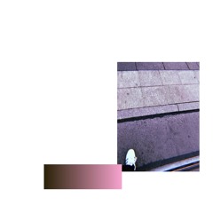 PREMIERE: Toada - A Matriarca [Plüma Records]