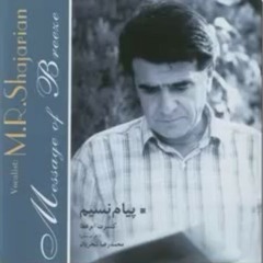 هرچه کنی بکن مکن ترک من ای نگار من    هر چه بری ببر مبر سنگدلی به کار من هر چه هلی بهل مهل پرده به روی چون قمر    هر چه دری بدر مدر پرده اعتبار من هر چه کشی بکش مکش باده به بزم مدعی    هر چه خوری بخور مخور خون من ای نگار من هر چه دهی بده مده زلف به باد ای
