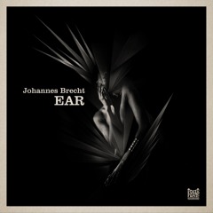 Johannes Brecht - Endangered Audio Research