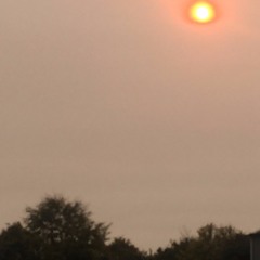 My Dear w/ Sekki (prod. Sekki)