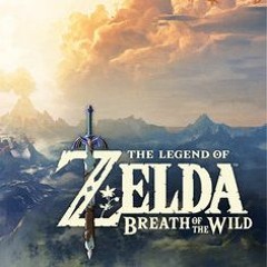 Riding - Night Zelda Breath Of The Wild