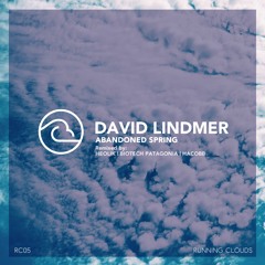 David Lindmer - Abandoned Spring (Original Mix)