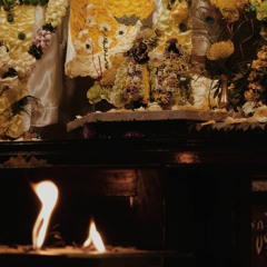 Nimai Gadhvi 8th Sept 2019 Evening Kirtan, ISKCON Ljubljana