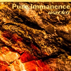 Wacko 07 : Pure Immanence