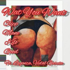 Wat You Want ft. Lagonza, Vidal Garcia