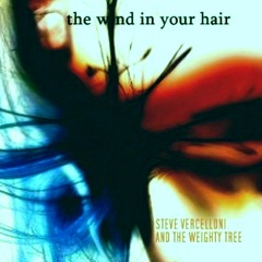 The Wind In Your Hair - Steve Vercelloni & The Weighty Tree