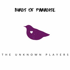 BIRDS OF PARADISE