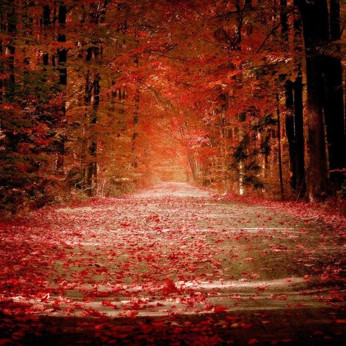 November 2019 Studio Mix