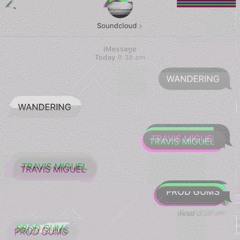Wandering Travis Miguel Prod Gums