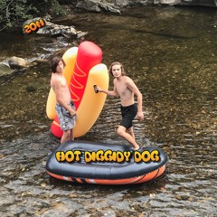 Hot Diggidy Dog