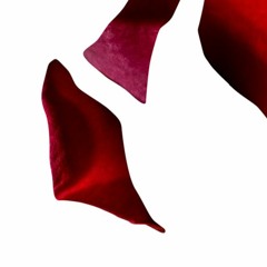 DVBBS & CMC$ Ft. Gia Koka - Not Going Home (Pusa Remix)