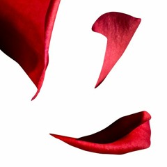 Alesso - Falling (Pusa remix) [Adam Christopher cover]