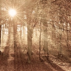 Олександр Соколов - Запали Мені Осінь/ Der Herbst fiel auf mich