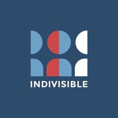 INDIVISIBLE OH Dist 12 & 3- M Lewis, M Neiman