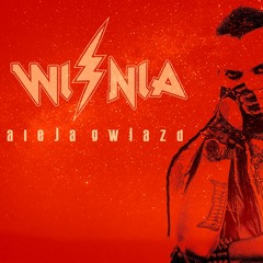 Wiśnia - Aleja Gwiazd