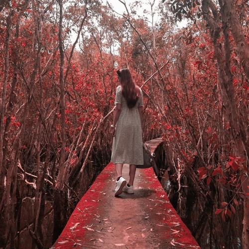 CHUNG TA DUNG LAI O DAY THOI