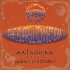 The Burrell Connection - Guided Meditation [TBC-DGTL001]