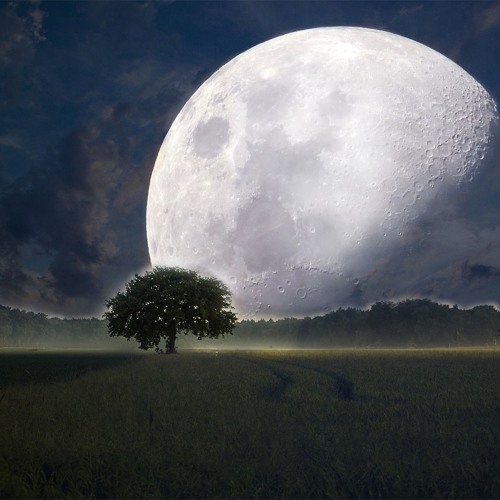 أحمد نعينع | فَادْعُوا اللَّهَ مُخْلِصِينَ لَهُ الدِّينَ| نهاوند نادر من سورة غافر |