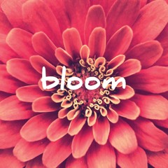 B L O O M