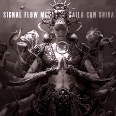 Miss Shiva - Signal Flow Moods#Baila Con Shiva@Cosmosradio.de 11-2019