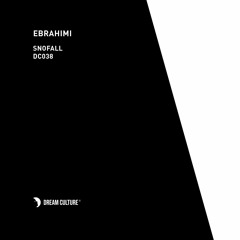 Ebrahimi - Regnskur (Original Mix)