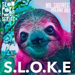 S.L.O.K.E // Slow Poke Session 001 With Mr. Squires