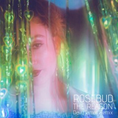 The Reason (Davy James Remix) [FREE DOWNLOAD]