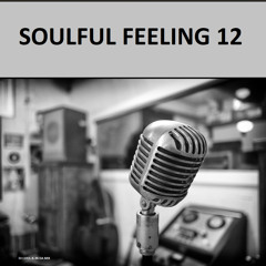 Soulful House Feeling 12