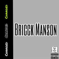 Changed Bricck Manson