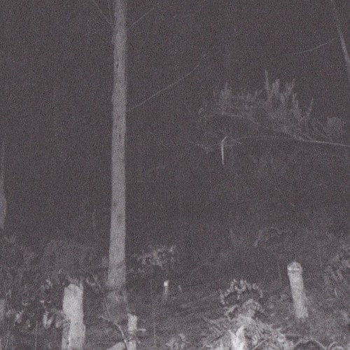 ruined - transfiguration /clip