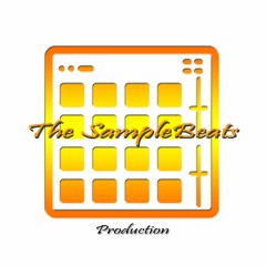 Mi Caminar The_SampleBeats
