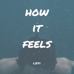 how it feels - Levi (prod.Fantom)