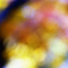 Dreams In The Morning Sun