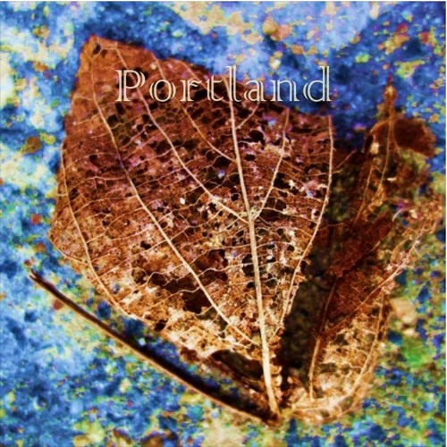 Wilfried Hanrath - Portland, an invitation for an open collab