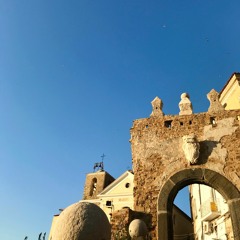 She's Gone (for Bella)